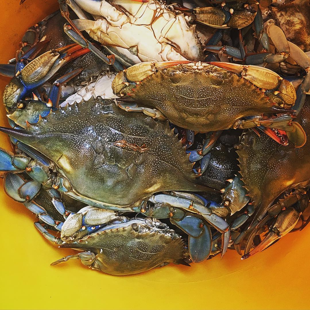 I think there are a few keepers in here